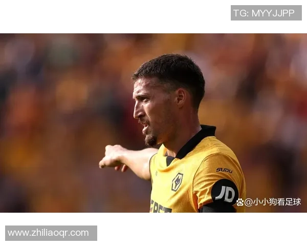 2平15负局面，狼队后卫多尔蒂：信任沙龙必定会在一月买人